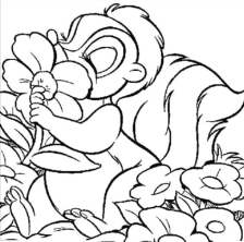Скунс нюхает цветочек
