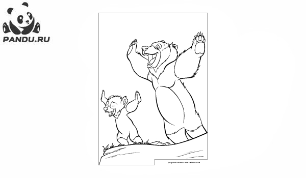 Раскраска Братец медвежонок. Кода и Кенаи