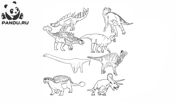 Раскраска Динозавр. Множество разных динозавров
