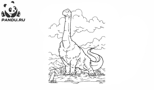 Раскраска Динозавр. Диплодок