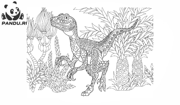 Раскраска Динозавр. Раскраска антистресс динозавр