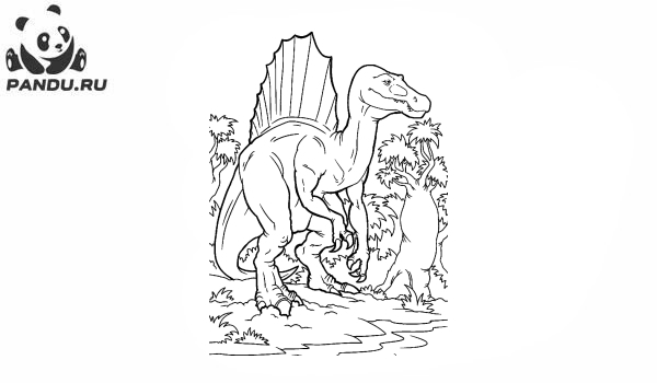 Раскраска Динозавр. Спинозавр