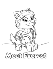 Раскраска Эверест Щенячий патруль - рисунок №8