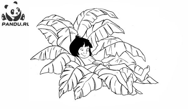 Раскраска Книга джунглей. Маугли спит в кустах