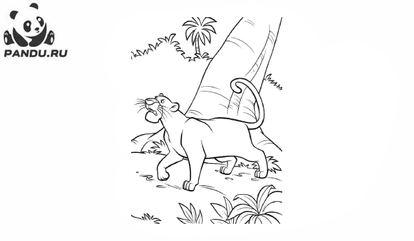 Раскраска Книга джунглей. Пантера Багира
