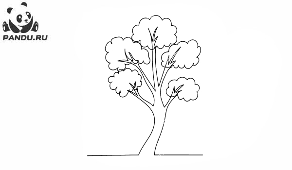 Раскраска Деревья. Картинка дерева для раскрашивания