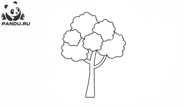 Раскраска Деревья. Дерево раскраска для детей 5-6 лет