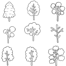 Разные виды деревьев