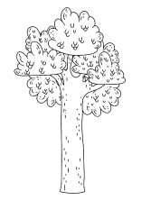 Высокое дерево