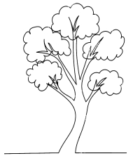 Картинка дерева для раскрашивания