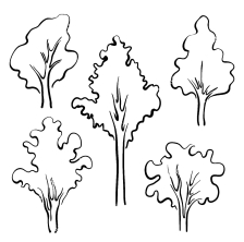 Коллекция деревьев для раскрашивания