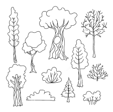 Много деревьев