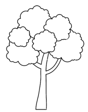 Дерево раскраска для детей 5-6 лет