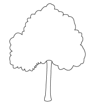 Шаблон дерева для детей 4 лет