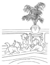 Раскраска Коты аристократы - рисунок №40