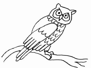 Раскраска сова - рисунок №5