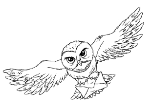Раскраска сова - рисунок №8
