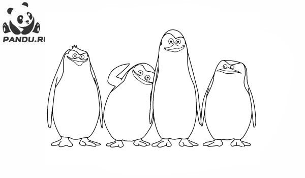 Раскраска Мадагаскар. Раскраска Пингвины Мадагаскара