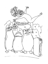 Пингвины Мадагаскара и лемуры