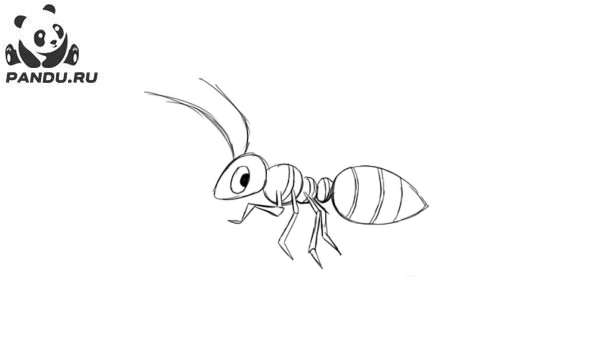 Раскраска Муравей Антц. Раскраска муравей - рисунок №16