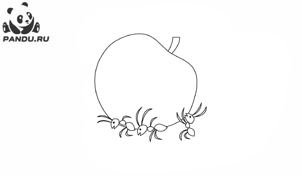 Раскраска Муравей Антц. Раскраска муравей - рисунок №28