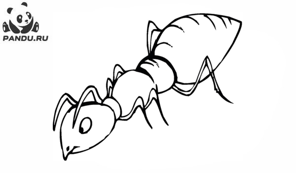 Раскраска Муравей Антц. Раскраска муравей - рисунок №42