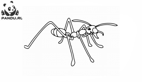 Раскраска Муравей Антц. Раскраска муравей - рисунок №45