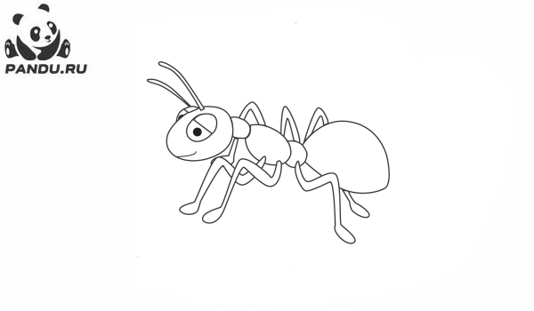 Раскраска Муравей Антц. Раскраска муравей - рисунок №59