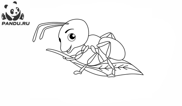 Раскраска Муравей Антц. Раскраска муравей - рисунок №63