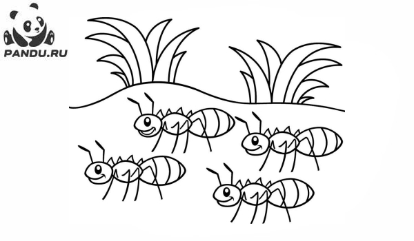 Раскраска Муравей Антц. Раскраска муравей - рисунок №73