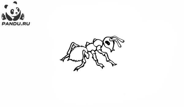 Раскраска Муравей Антц. Раскраска муравей - рисунок №77