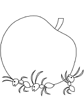 Раскраска муравей - рисунок №28