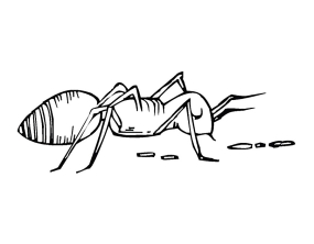 Раскраска муравей - рисунок №40