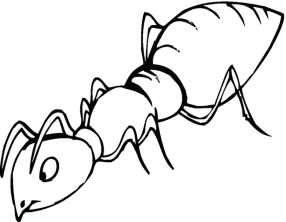 Раскраска муравей - рисунок №42