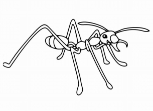 Раскраска муравей - рисунок №45