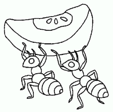 Раскраска муравей - рисунок №75