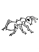 Раскраска муравей - рисунок №77
