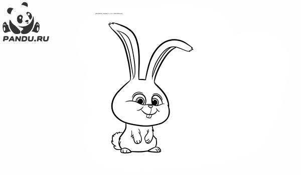 Раскраска Тайная жизнь домашних животных 2. Кролик Снежок