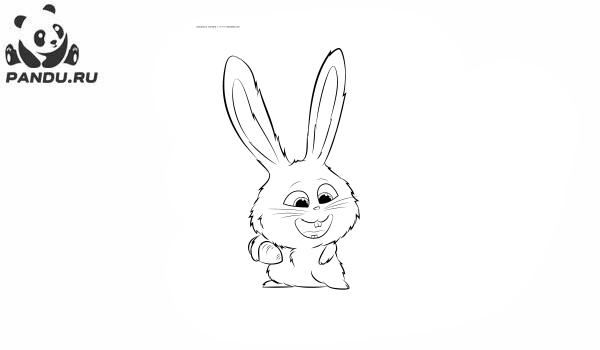 Раскраска Тайная жизнь домашних животных 2. Кролик Снежок