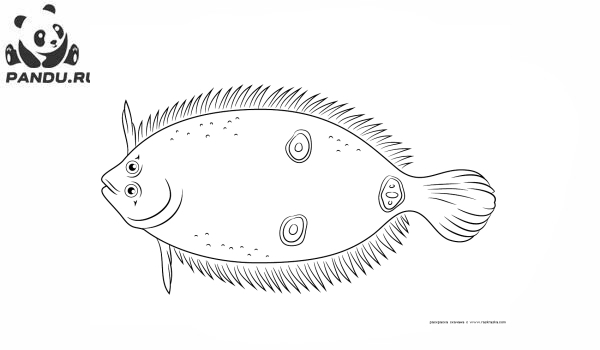 Раскраска Рыбы. Камбала