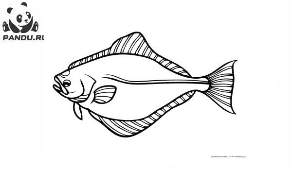 Раскраска Рыбы. Палтус
