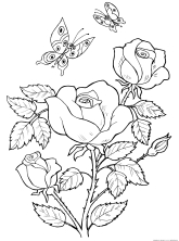 Раскраска розы
