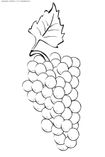 Кисть винограда