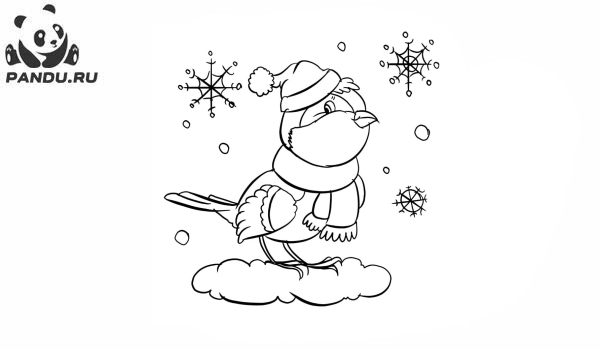 Раскраска Зима. Птица в шапке и шарфе