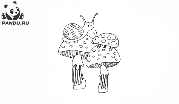Раскраска Грибы. Насекомые и грибы