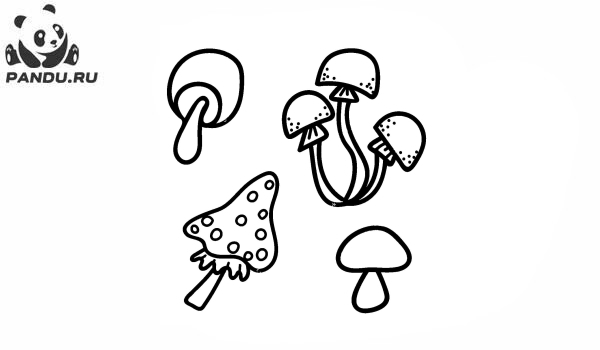 Раскраска Грибы. Несъедобные грибы