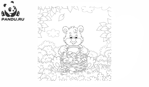 Раскраска Грибы. Медведь с корзиной урожая
