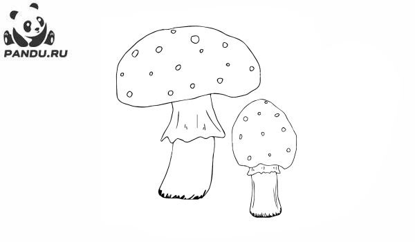 Раскраска Грибы. Два грибы