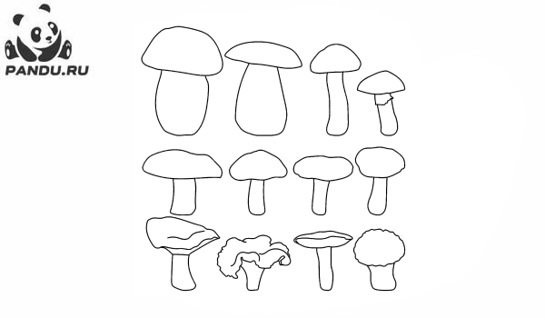 Раскраска Грибы. Коллекция грибов