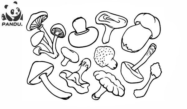 Раскраска Грибы. Разные виды грибов